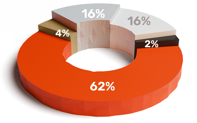 Pie chart of shock category prevalence in the ICU: 62% septic shock, 16% hypovolemic shock, 16% cardiogenic shock, 4% non-septic distributive shock, 2% obstructive shock