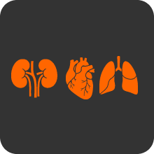 Multi-organ damage icon