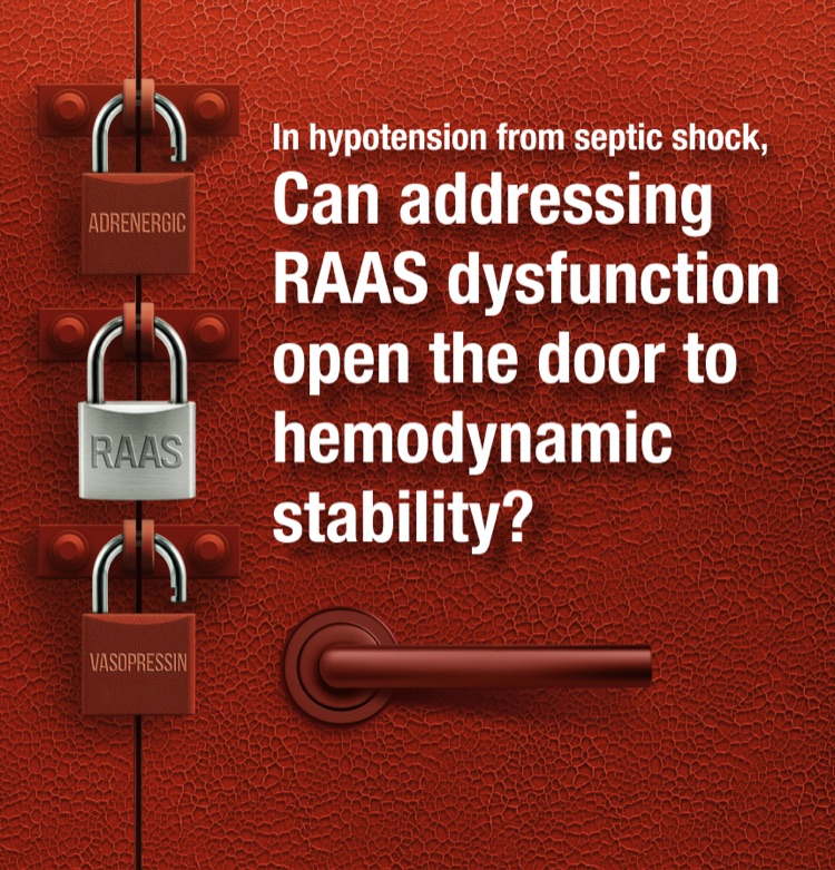 In hypotension from septic shock, can addressing RAAS dysfunction open the door to hemodynamic stability?