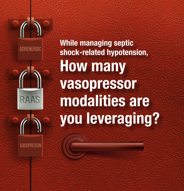 While managing septic shock-related hypotension, how many vasopressor modalities are you leveraging?