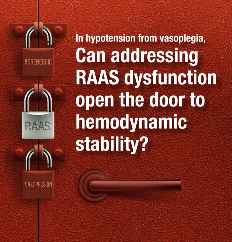 In hypotension from vasoplegia, can addressing RAAS dysfunction open the door to hemodynamic stability?