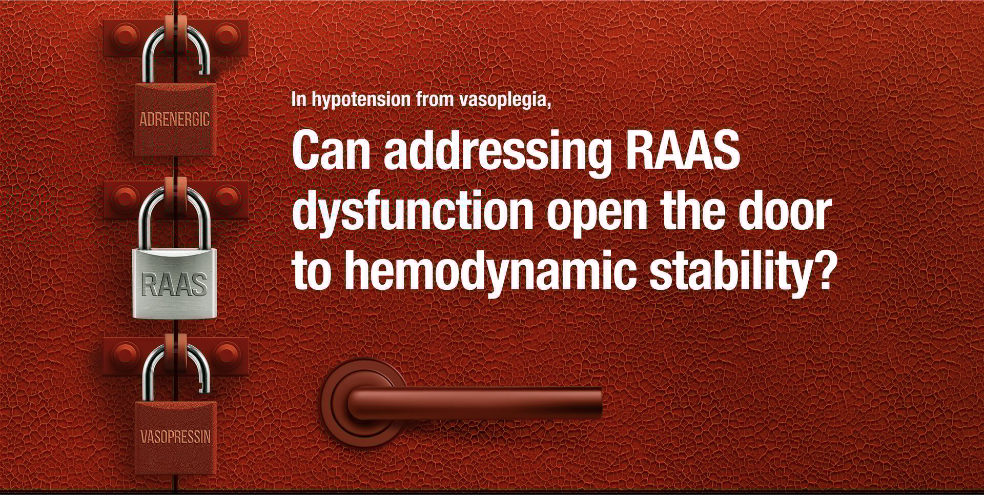 Vaso P1 DESK Header-2 Vaso P1 DESK Header-2