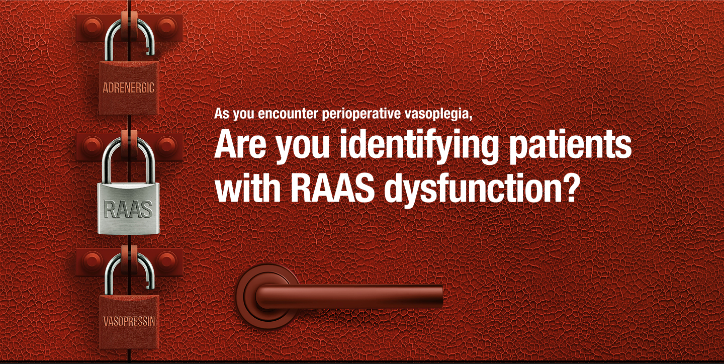 Vaso P2 DESK Header-3